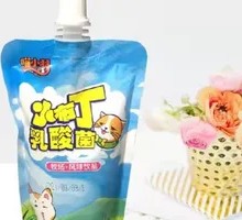 Small Pudding Lactic Acid Bacteria