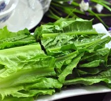 Oilseed lettuce