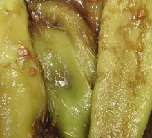 Sweet and Sour Chili