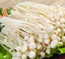 Enoki Mushroom