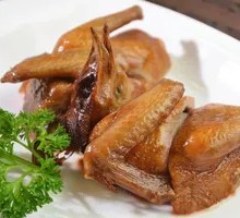 Young Pigeon with Milk