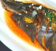 Steamed Yellow Pepper Sauce Sea Bream