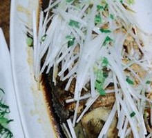 Spring Water Live Fish