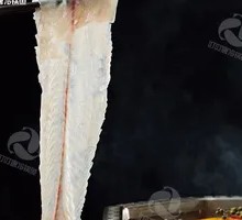 Dingding Fish Exclusive Black Fish Slices