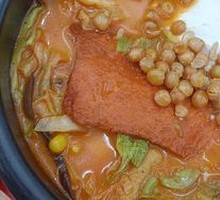 Tomato Tofu Chicken Cutlet Noodles