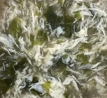 Seaweed and Egg Soup
