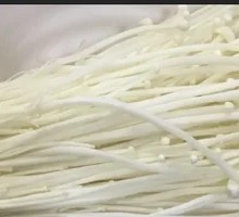 Enoki Mushroom
