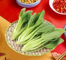 Chinese cabbage