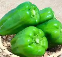 Spicy Green Sichuan Pepper Chicken