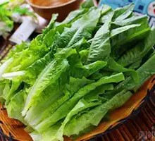 Oilseed lettuce