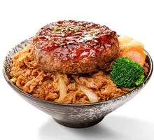 Japanese Hamburg Steak Rice
