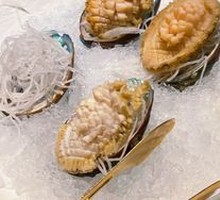 Double-Head Abalone from Nanhuangcheng Island