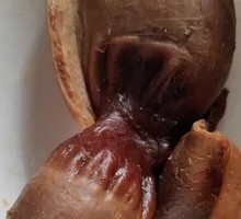 Braised Goose Gizzard