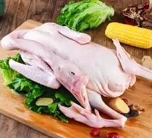 Cold Land Goose