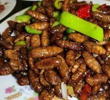 Spicy Stir-Fried Silkworm Pupae