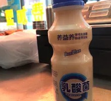 Chilled Lactic Acid Bacteria