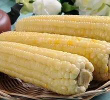 Northeast Corn