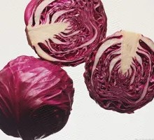 Purple Cabbage