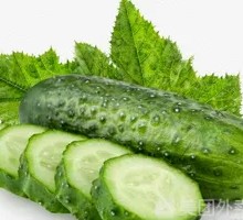 Cucumber