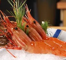 Peony Shrimp Sashimi