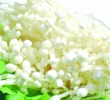 Enoki Mushroom