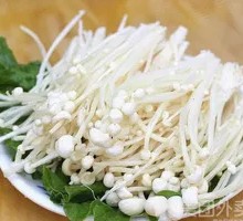 Enoki Mushroom