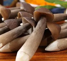 Black Skin Chicken Mushroom