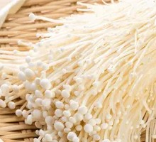 Enoki Mushroom