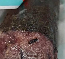 Black Pepper Beef Rice Ball