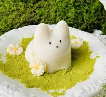 Bouncing Rabbit Delight