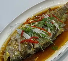 Halal Yellow Croaker