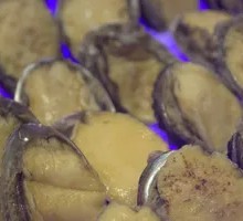 Abalone All-You-Can-Eat