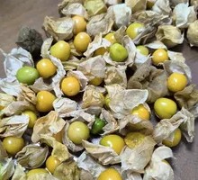 Tendon and Brain Stew