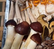 Yunnan Mushroom Platter