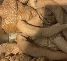 Spicy Poted Donkey Intestine