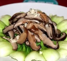 Shiitake Mushroom