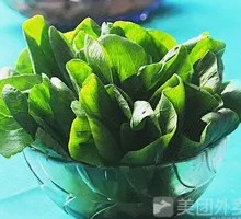 Oilseed lettuce