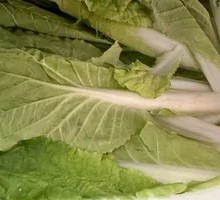 Bok choy