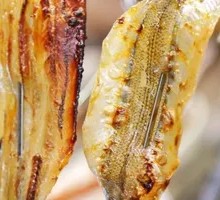 Horse Mackerel