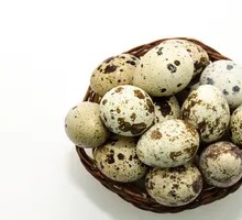Free-range Quail Eggs