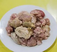 Sheep Brain and Brainstem