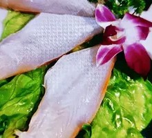 Snakehead Fish