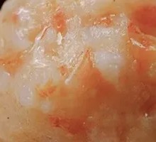 Homemade Shrimp Paste