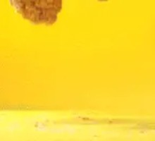 Fried Chicken Wing Roots