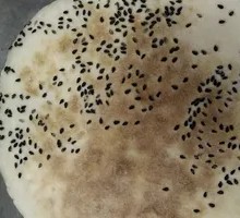 Stir-fried Chicken Pancake