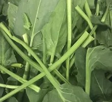 Spinach