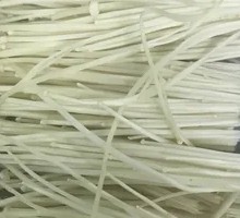 Enoki Mushroom