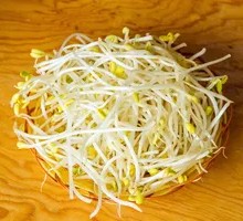 Bean sprouts
