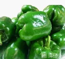 Bell Pepper