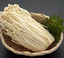 Vegetable Delight for Six Yuan and Six Jiao